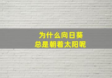 为什么向日葵总是朝着太阳呢