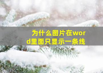 为什么图片在word里面只显示一条线