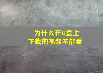 为什么在u盘上下载的视频不能看