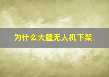 为什么大疆无人机下架