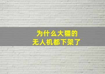 为什么大疆的无人机都下架了