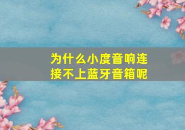 为什么小度音响连接不上蓝牙音箱呢