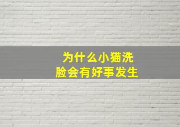 为什么小猫洗脸会有好事发生