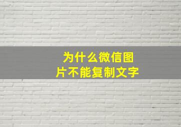 为什么微信图片不能复制文字