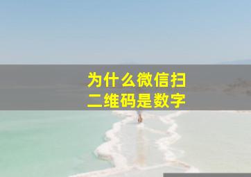 为什么微信扫二维码是数字