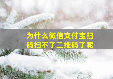 为什么微信支付宝扫码扫不了二维码了呢