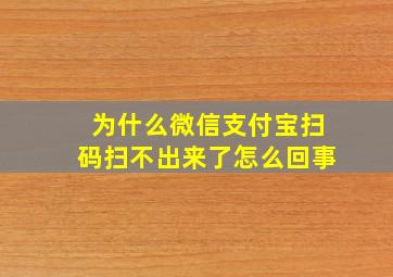 为什么微信支付宝扫码扫不出来了怎么回事