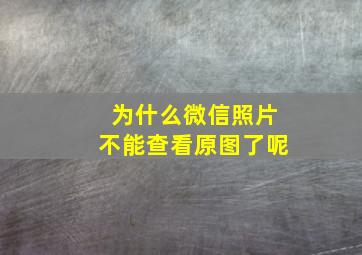 为什么微信照片不能查看原图了呢