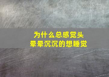 为什么总感觉头晕晕沉沉的想睡觉