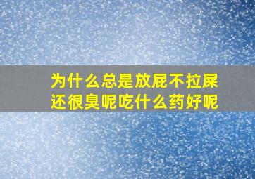 为什么总是放屁不拉屎还很臭呢吃什么药好呢