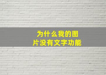 为什么我的图片没有文字功能