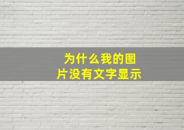 为什么我的图片没有文字显示