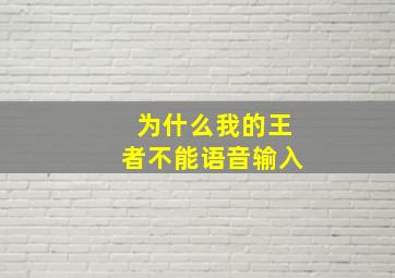 为什么我的王者不能语音输入