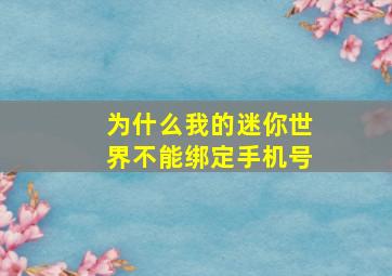 为什么我的迷你世界不能绑定手机号