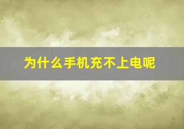 为什么手机充不上电呢