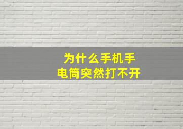 为什么手机手电筒突然打不开