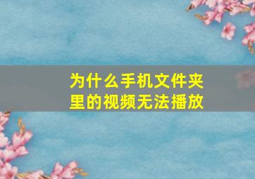 为什么手机文件夹里的视频无法播放