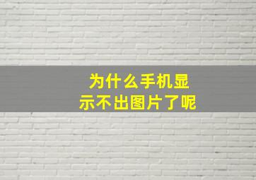 为什么手机显示不出图片了呢