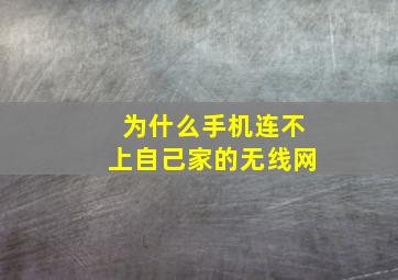 为什么手机连不上自己家的无线网