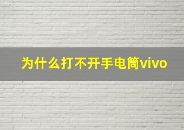 为什么打不开手电筒vivo