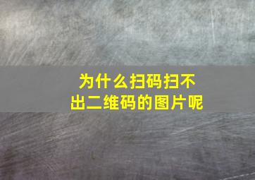 为什么扫码扫不出二维码的图片呢