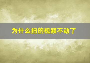 为什么拍的视频不动了