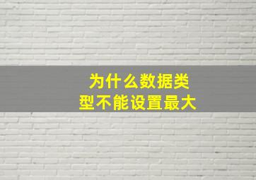 为什么数据类型不能设置最大