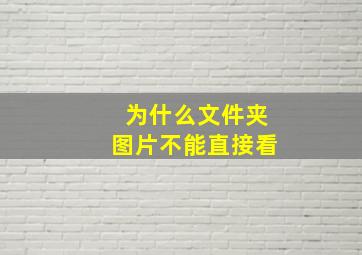 为什么文件夹图片不能直接看