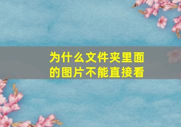 为什么文件夹里面的图片不能直接看