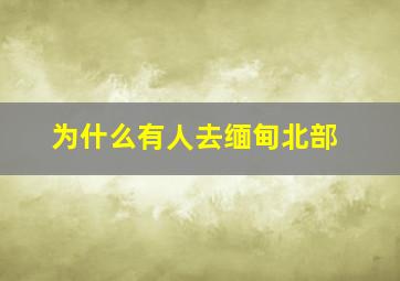 为什么有人去缅甸北部