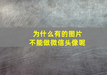 为什么有的图片不能做微信头像呢