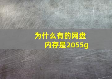 为什么有的网盘内存是2055g