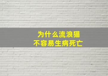 为什么流浪猫不容易生病死亡