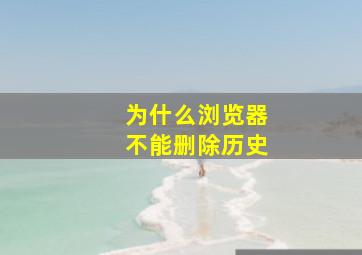 为什么浏览器不能删除历史