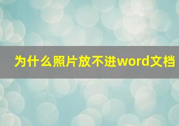 为什么照片放不进word文档