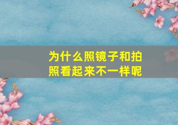 为什么照镜子和拍照看起来不一样呢