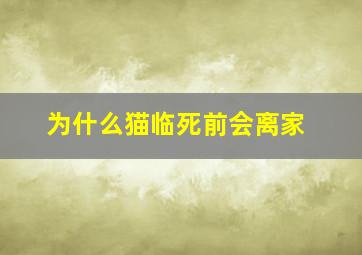 为什么猫临死前会离家