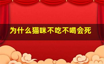 为什么猫咪不吃不喝会死