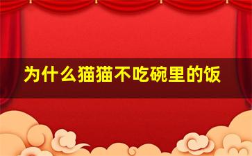 为什么猫猫不吃碗里的饭