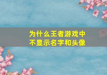 为什么王者游戏中不显示名字和头像