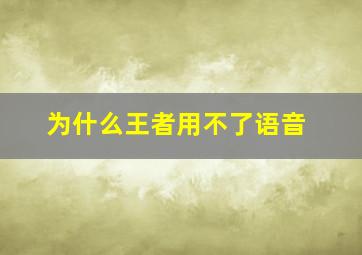 为什么王者用不了语音