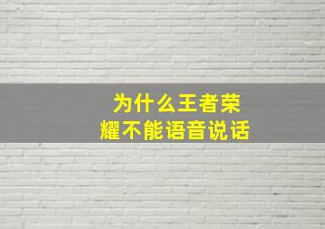 为什么王者荣耀不能语音说话