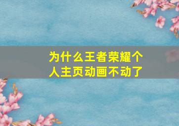 为什么王者荣耀个人主页动画不动了