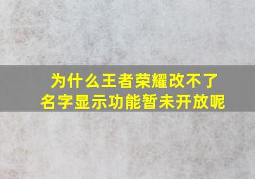 为什么王者荣耀改不了名字显示功能暂未开放呢