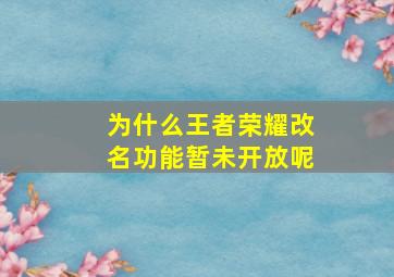 为什么王者荣耀改名功能暂未开放呢