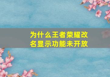 为什么王者荣耀改名显示功能未开放