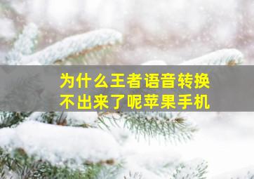 为什么王者语音转换不出来了呢苹果手机