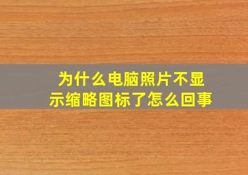 为什么电脑照片不显示缩略图标了怎么回事