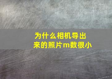 为什么相机导出来的照片m数很小