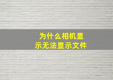 为什么相机显示无法显示文件